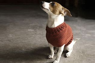 朱诺狗毛衣编织模式