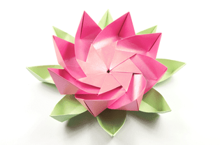 模块化的折纸莲花