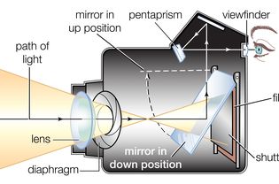 Cross section of a single-lens reflex (SLR) camera with a flip mirror