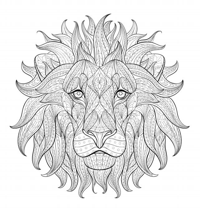 一张狮子的脸成人涂色页。