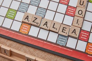 azalea being played on a scrabble board
