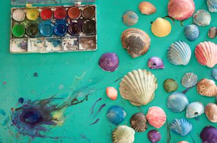 Painted seashells ready for crafts