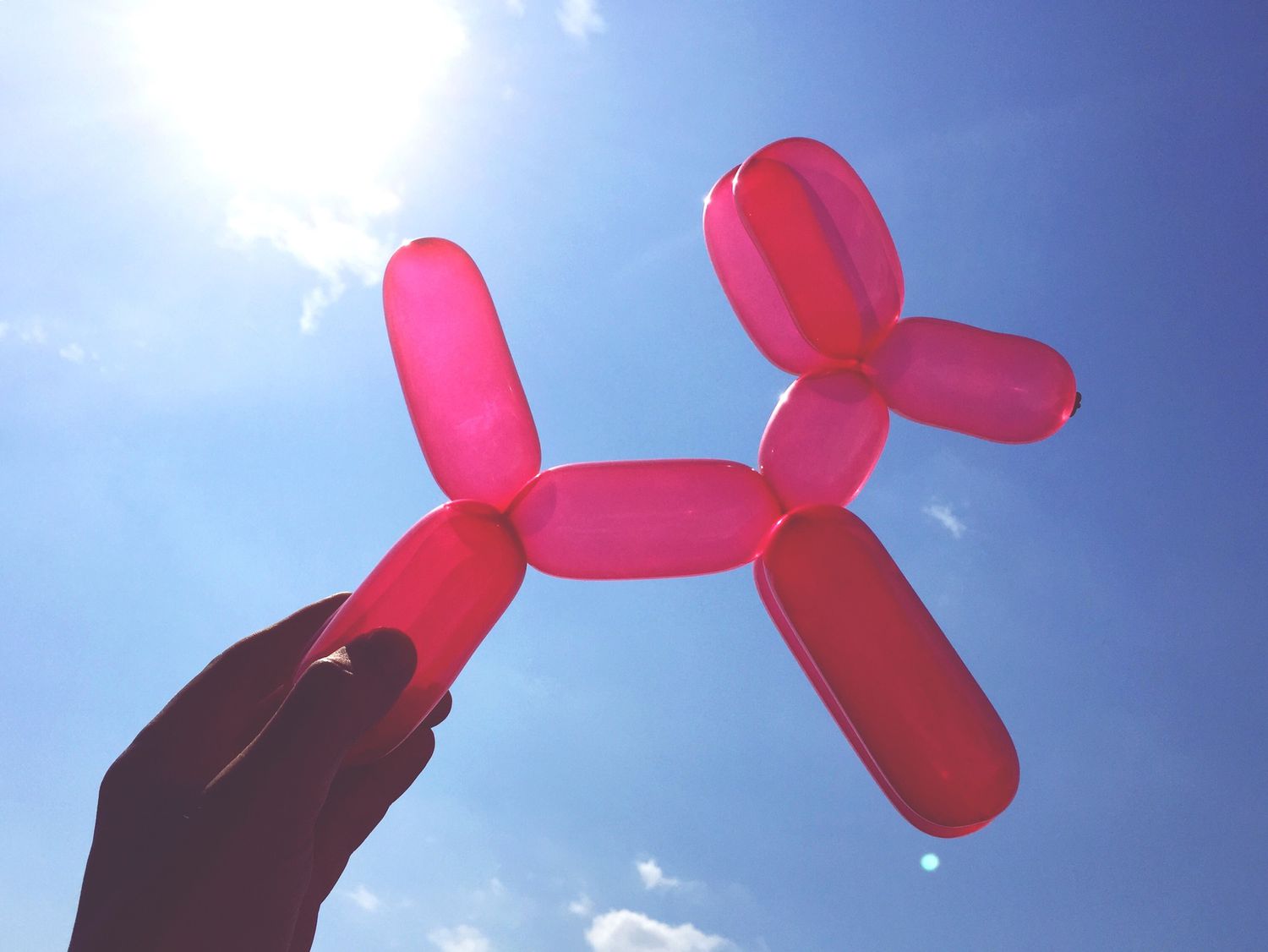 hand holding balloon dog against the sky with sun shining