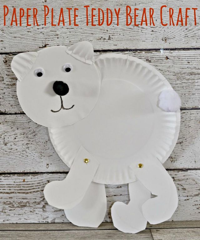 纸板的泰迪熊