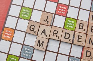 Scrabble three letter J word