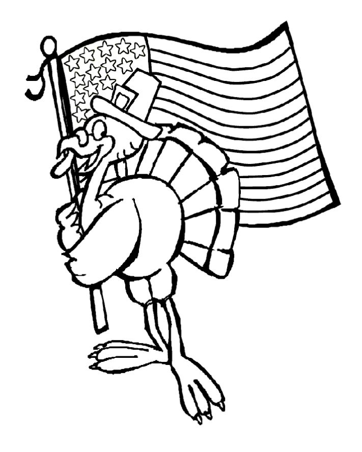一只火鸡举着美国国旗。