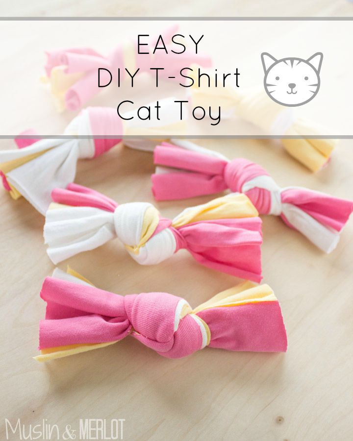 简单的diy织物猫玩具