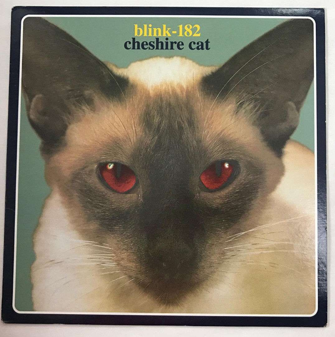 眨眼-182柴郡猫专辑罕见的封面艺术