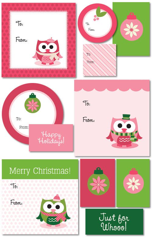 粉红色和绿色圣诞礼物标签所有猫头鹰。