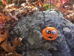 岩石上画着笑脸坐在秋天的风景