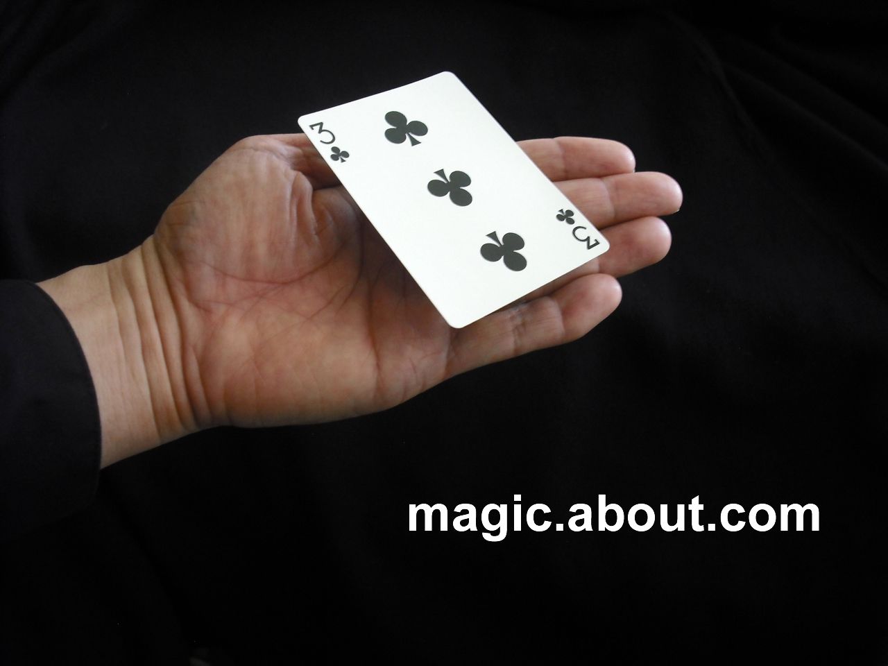 魔术坐在手上